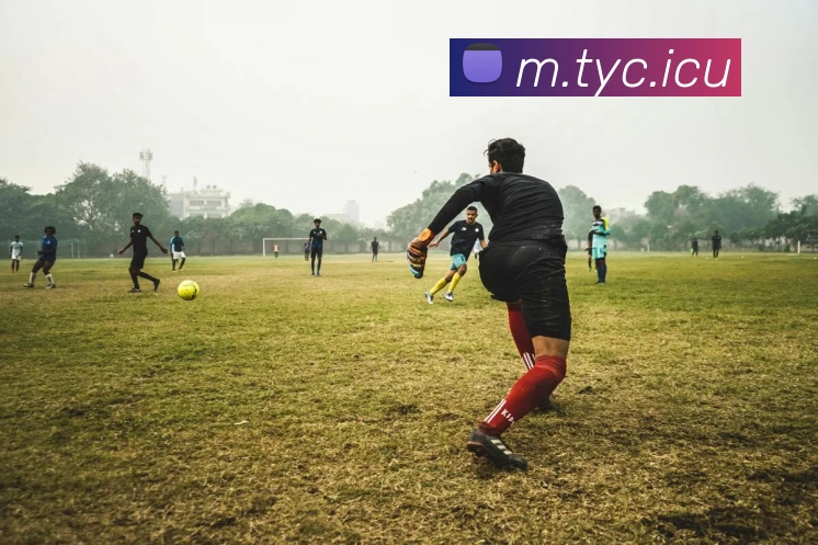 太阳城APP 体育赛事宣传图